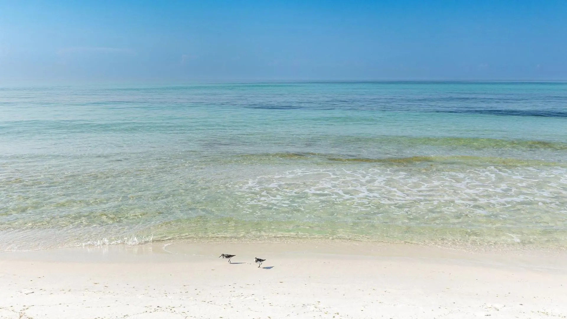 Beach House 702A-By Holiday Isle Properties Destin 0*,  United States